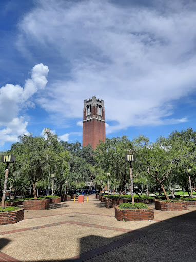 The University of Florida: Best College in Florida